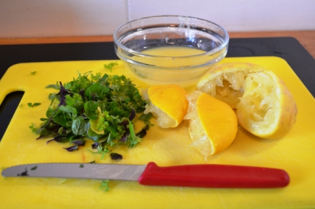 Zitronen um Käse selber zu machen