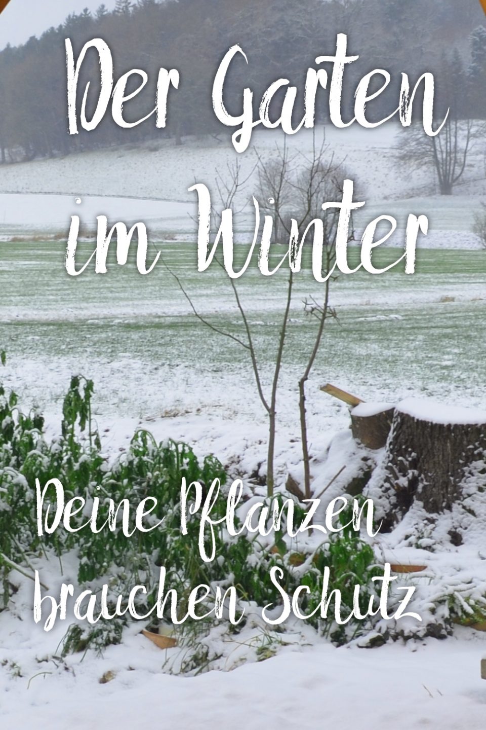 Es ist Winter Was gibt es im Garten im Winter zu tun? Haus und Beet