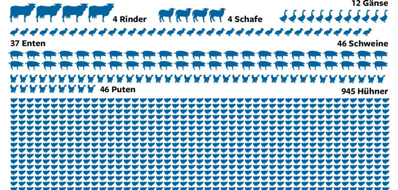 Deutscher Durchschnittsverbrauch Fleisch pro Jahr