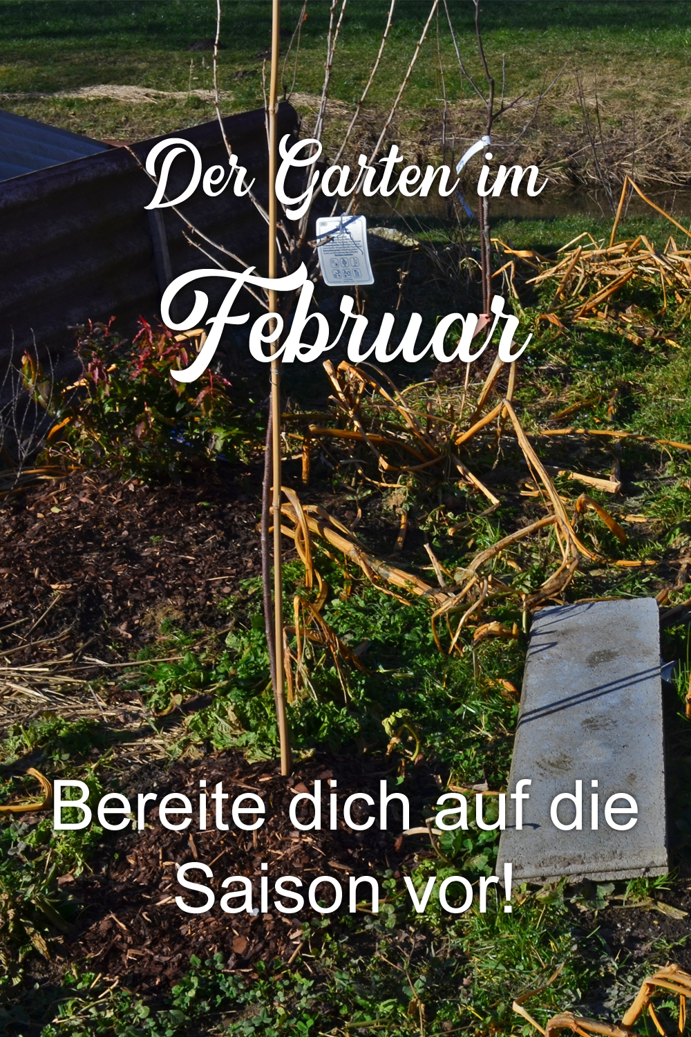 Es ist Februar Was gibt es im Garten zu tun? Haus und Beet