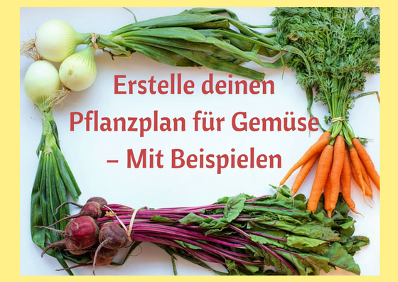 Erstelle deinen Pflanzplan für Gemüse Mit Beispielen Haus und Beet
