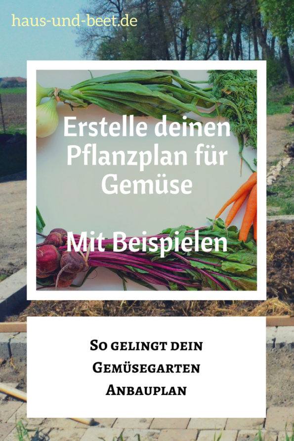 Erstelle deinen Pflanzplan für Gemüse – Mit Beispielen