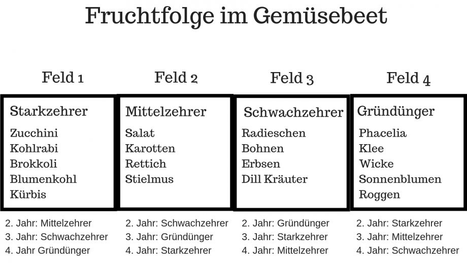 Fruchtfolge im Garten Was du beachten solltest Haus und Beet