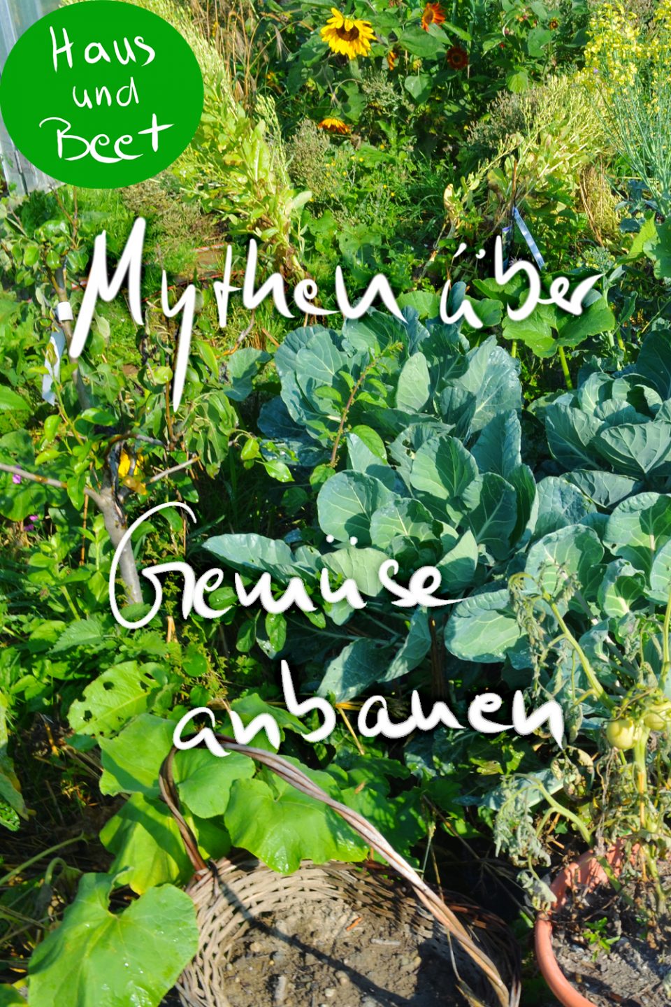 Mythen über Gemüse anbauen