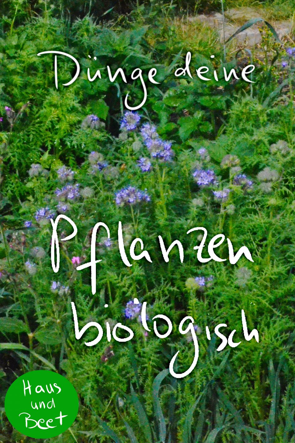 Pflanzen düngen biologisch