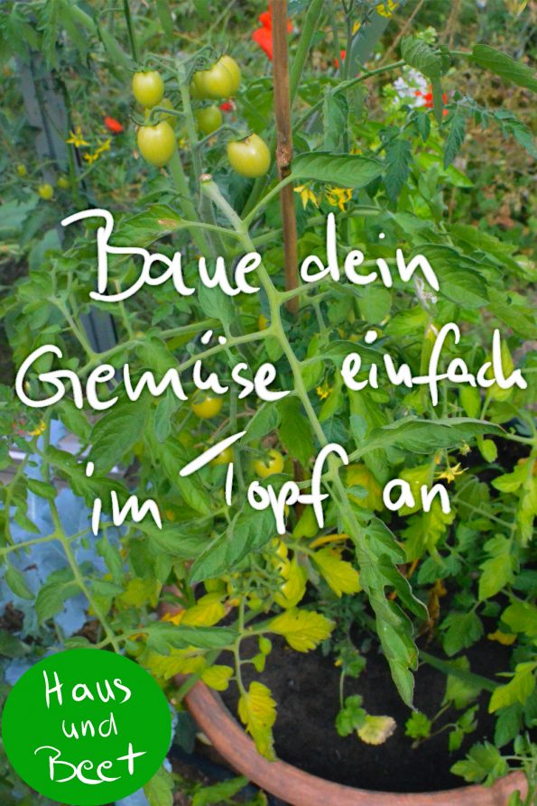 Gemüse anbauen im Topf für Anfänger Haus und Beet