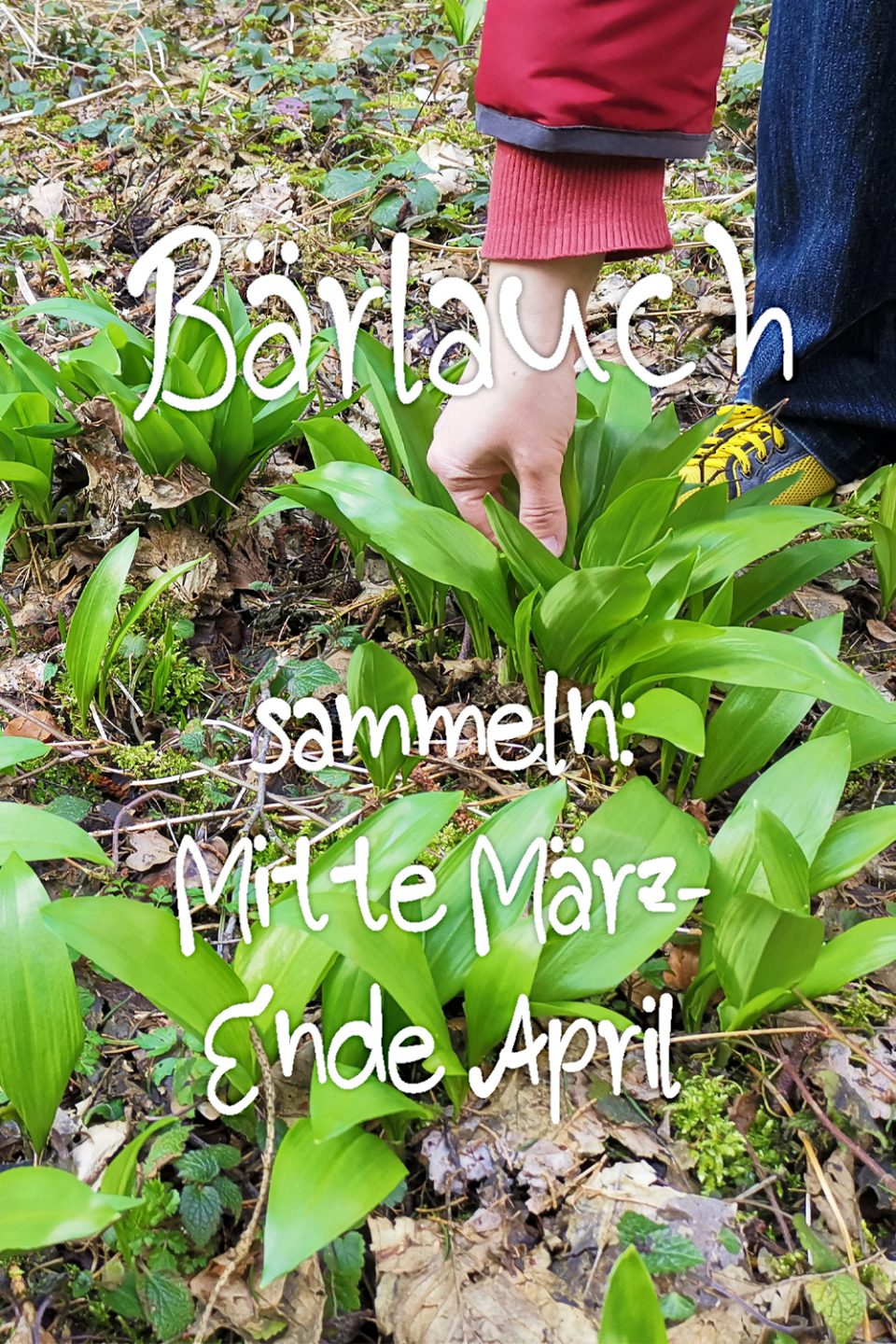 Was gibt es im Garten im April zu tun? Haus und Beet