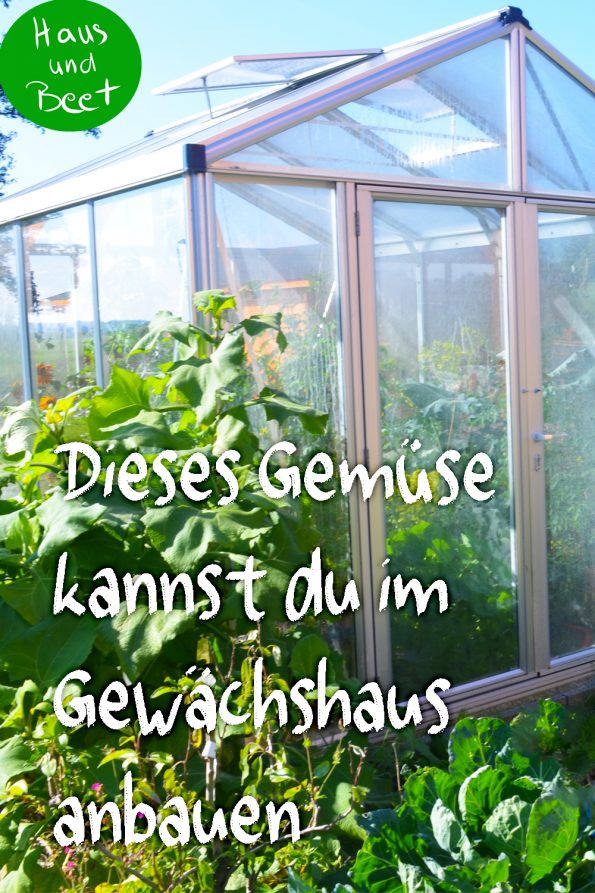 Gemüse anbauen im Gewächshaus Was ist empfehlenswert? Haus und Beet