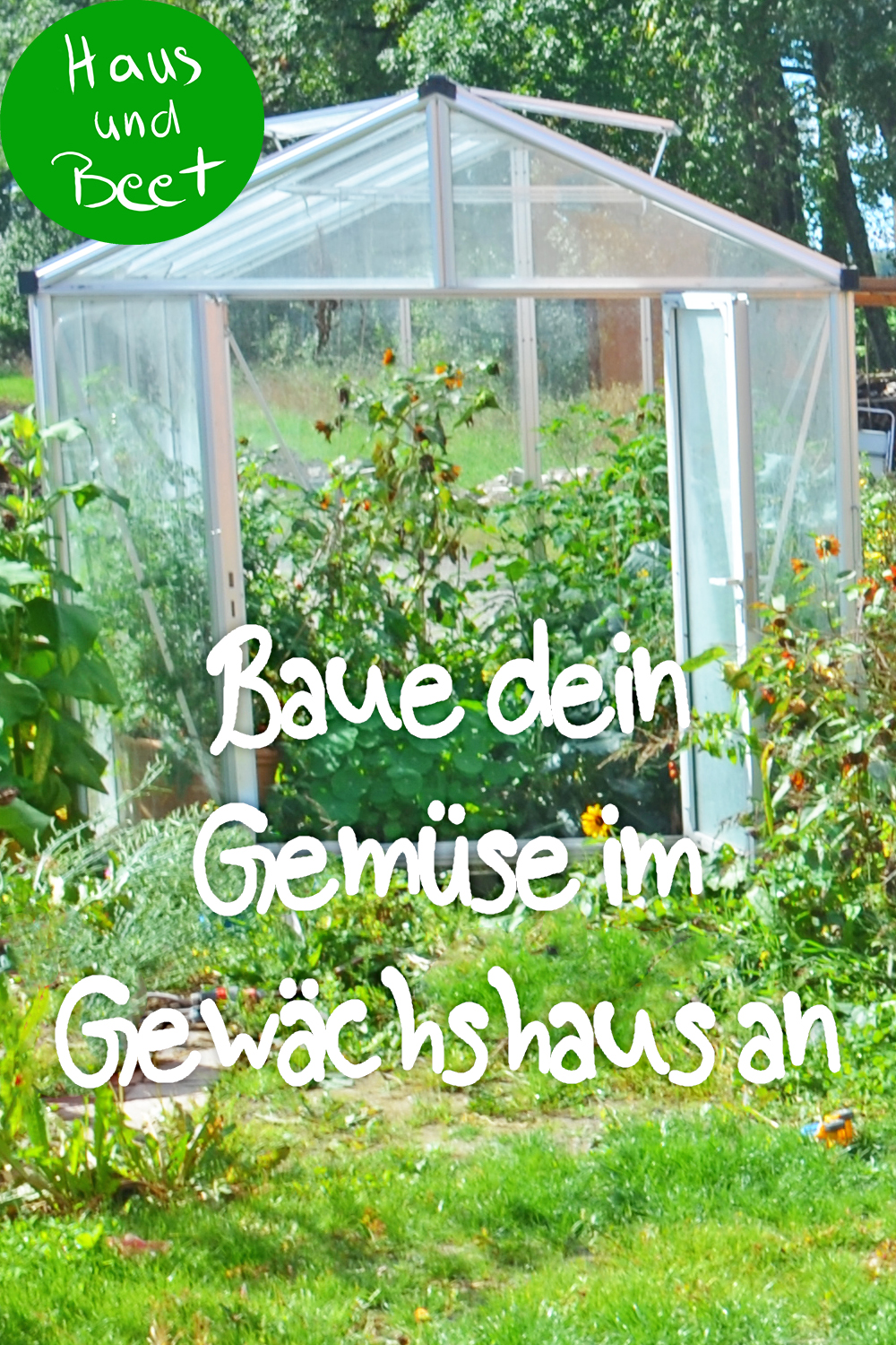 Gemüse anbauen im Gewächshaus Was ist empfehlenswert? Haus und Beet