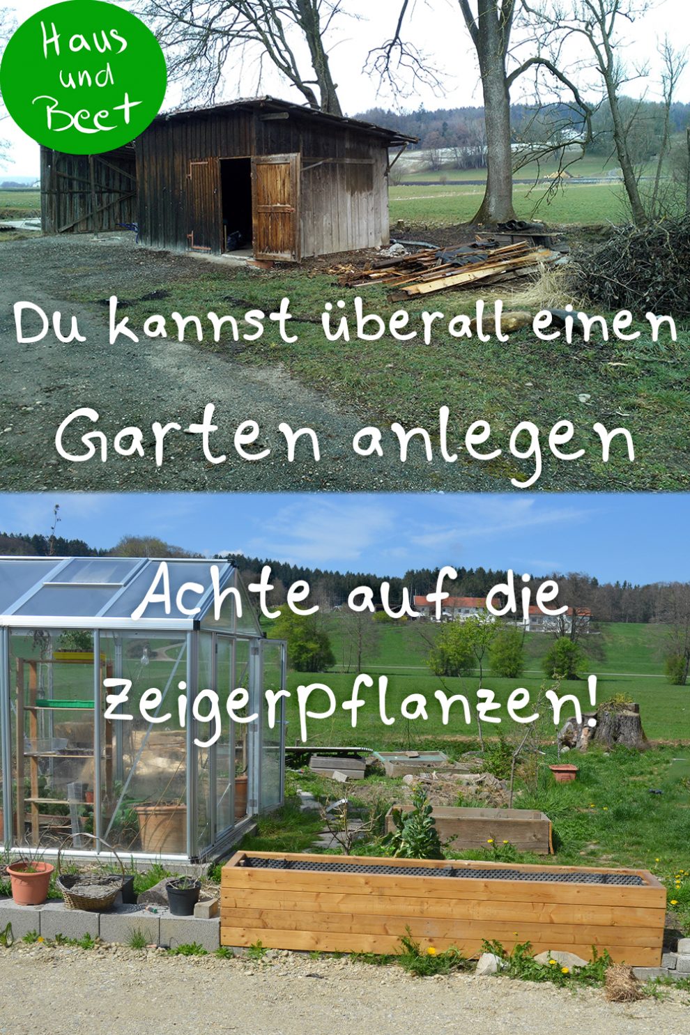 Verwildeter Garten? So fängst du an Haus und Beet