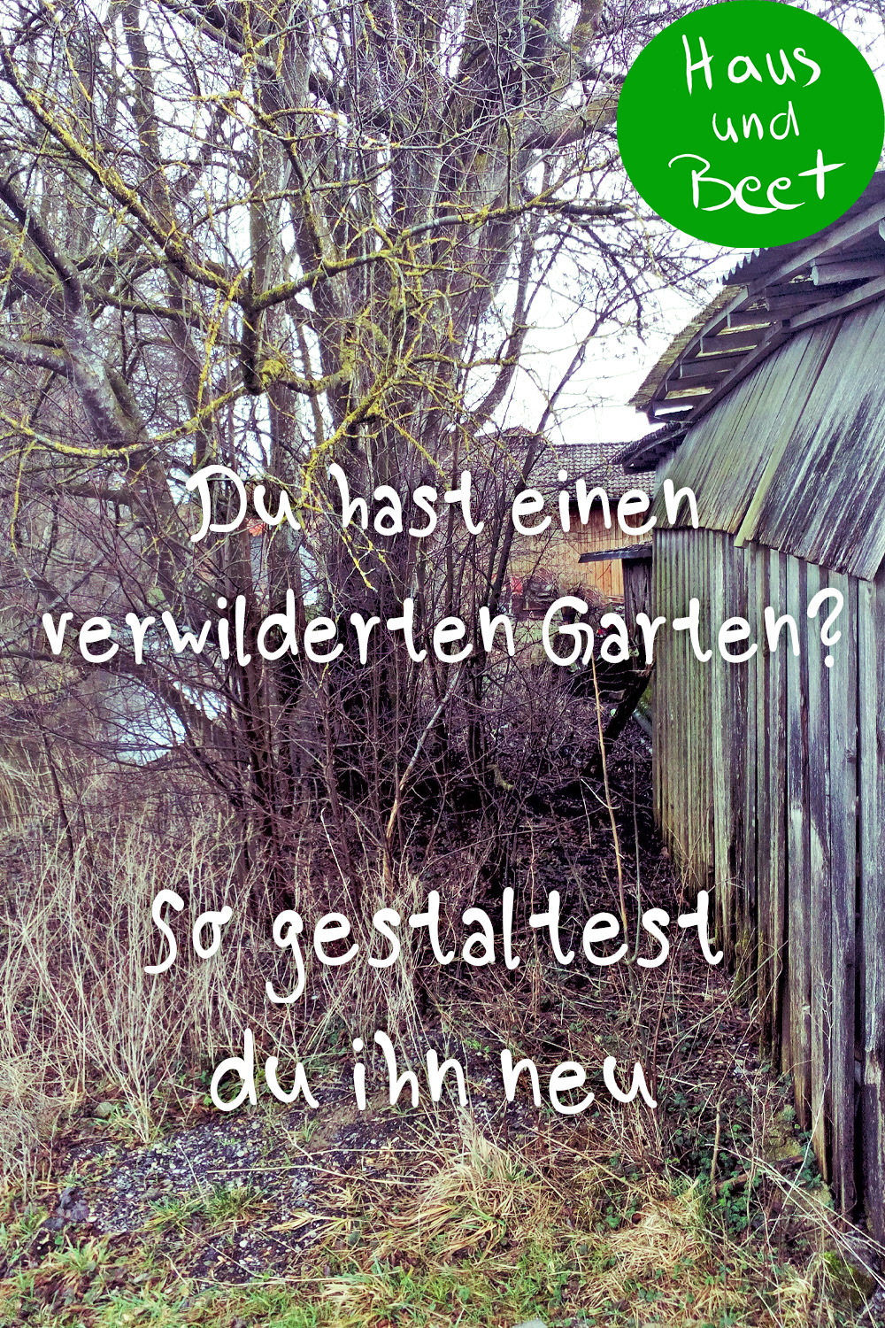 Verwildeter Garten? So fängst du an Haus und Beet