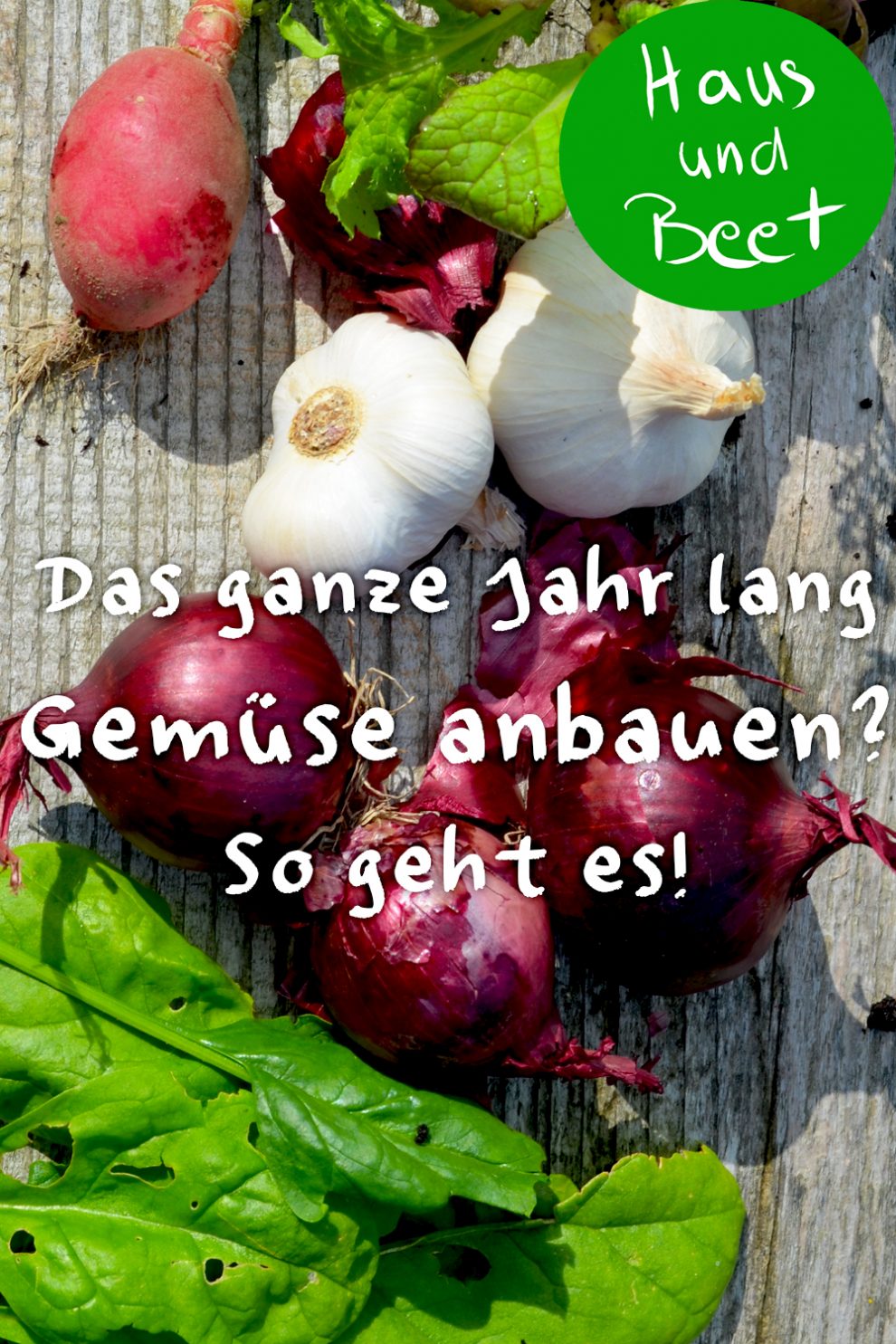 Ab wann kannst du Gemüse anbauen? Haus und Beet