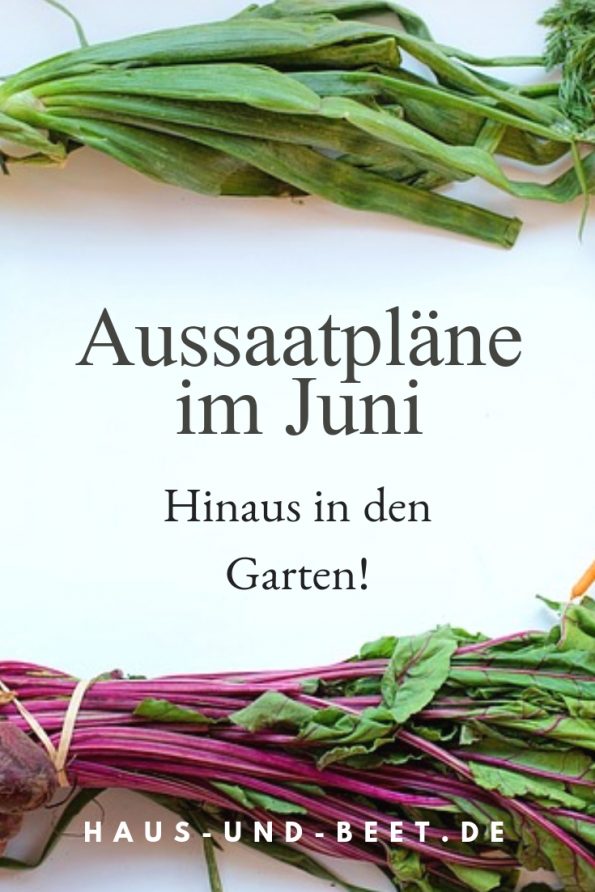 Aussaatpläne im Juni