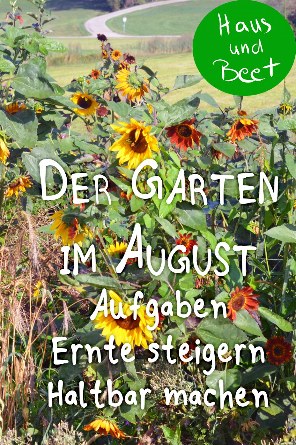 Garten im August