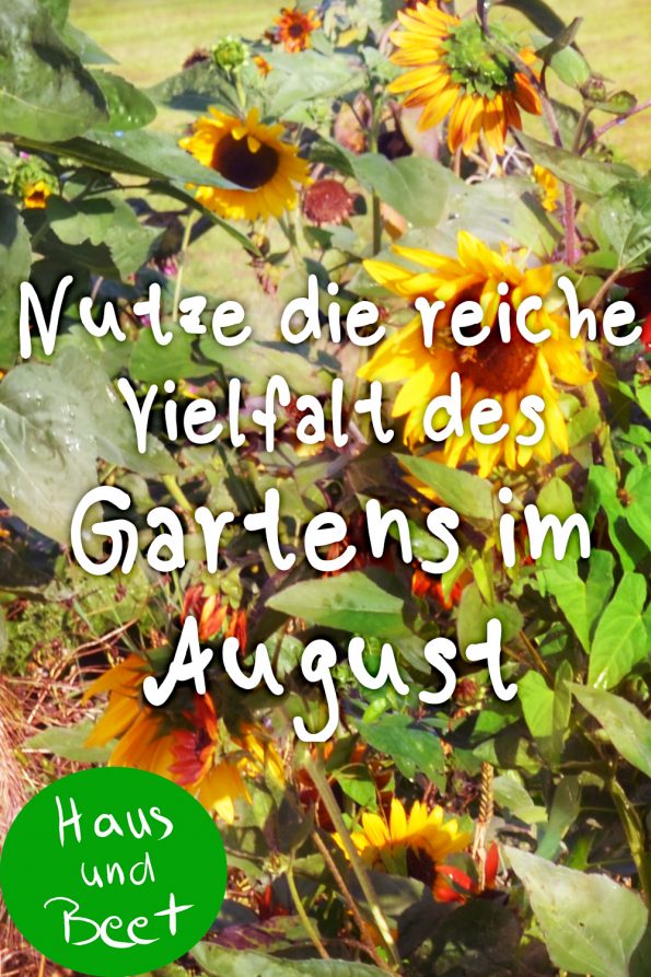 Garten im August