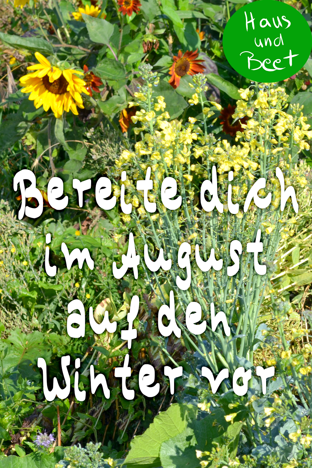 Garten im August