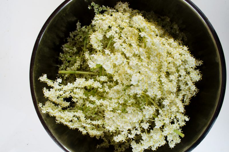 Holunderblütensirup Rezept – Der Frühsommer im Glas - Haus und Beet