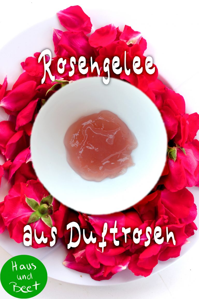 Rosengelee – Eine zarte Versuchung aus dem Garten – Haus und Beet