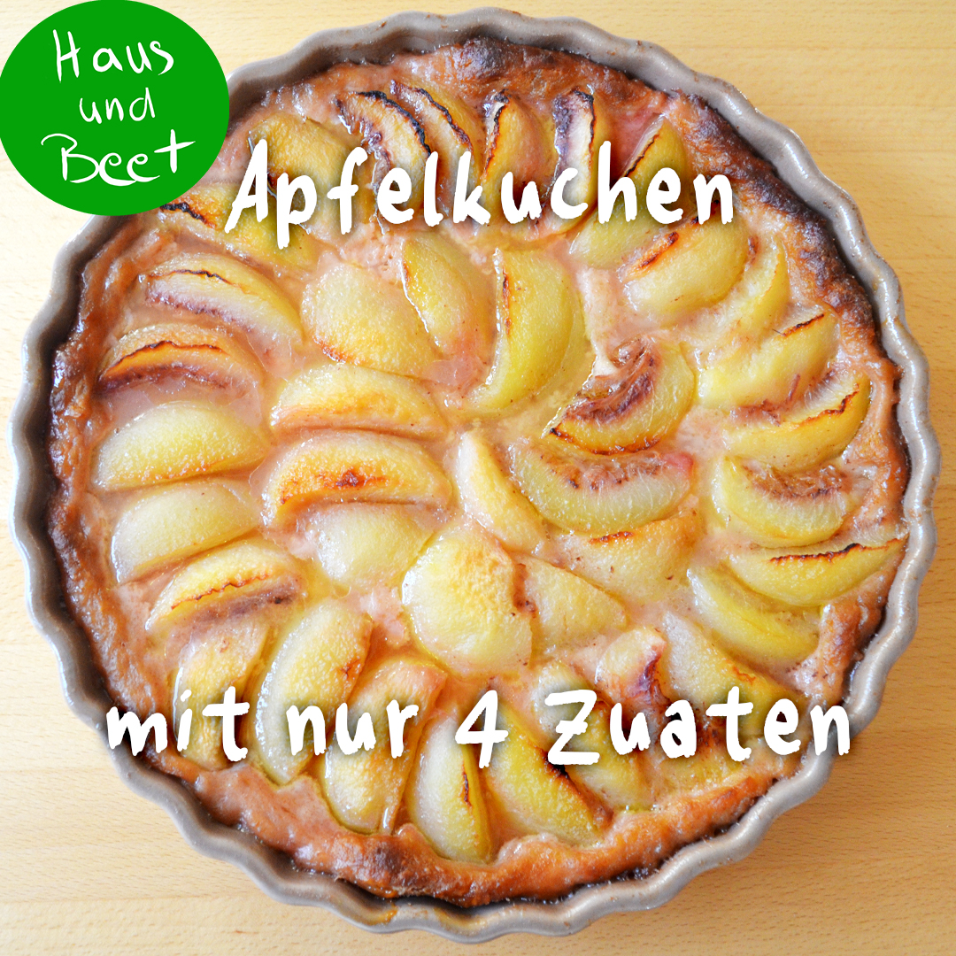 Apfelkuchen Rezept einfach Insta