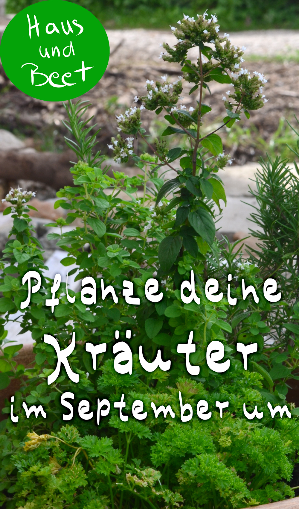 Garten im September