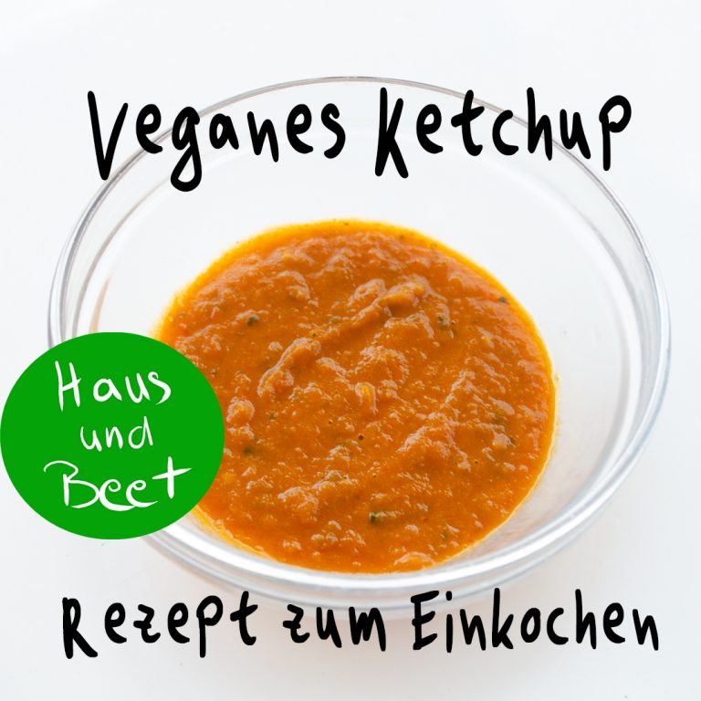 Ketchup selber machen Haltbar für 1 Jahr Haus und Beet