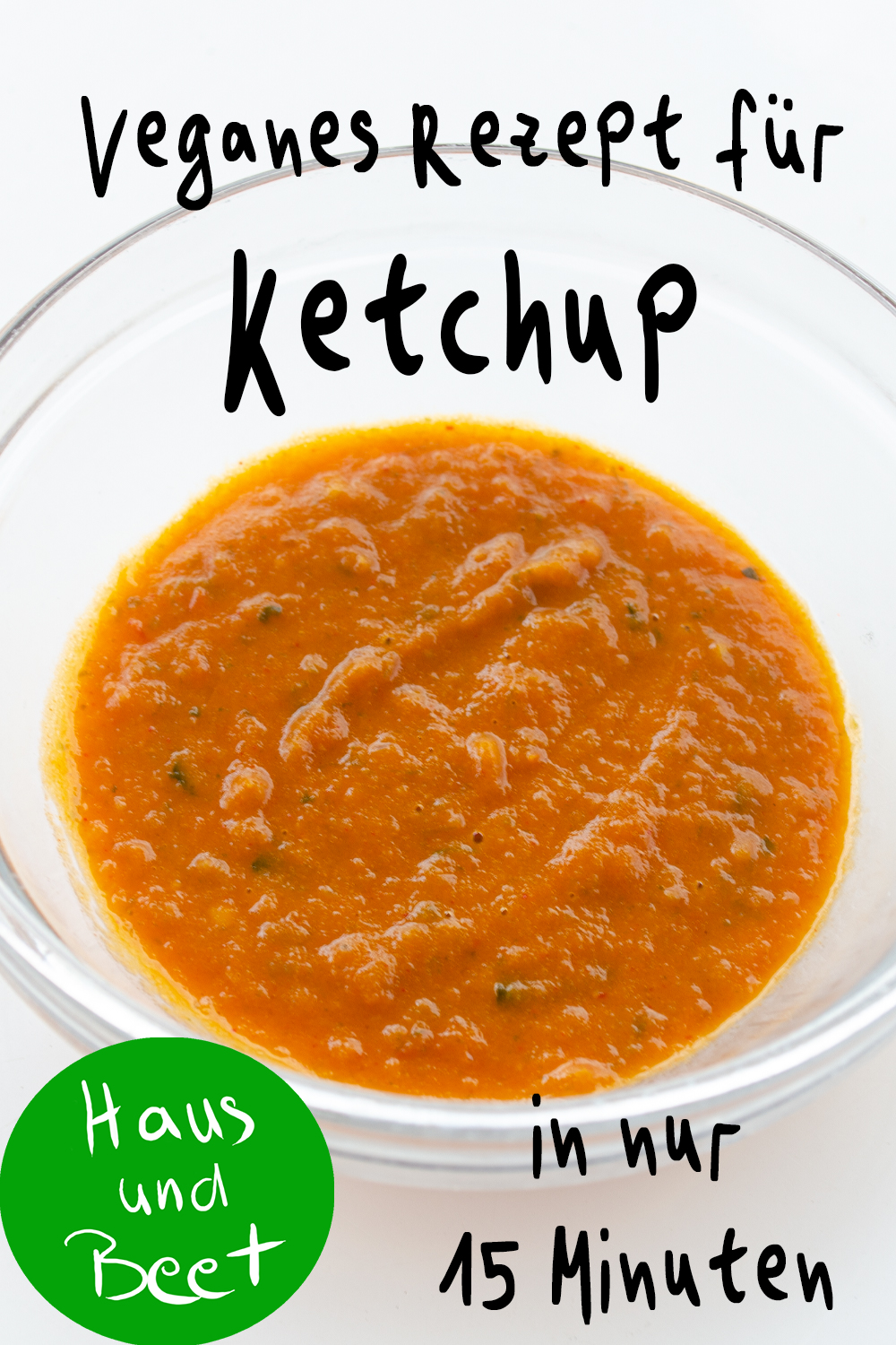 Ketchup selber machen