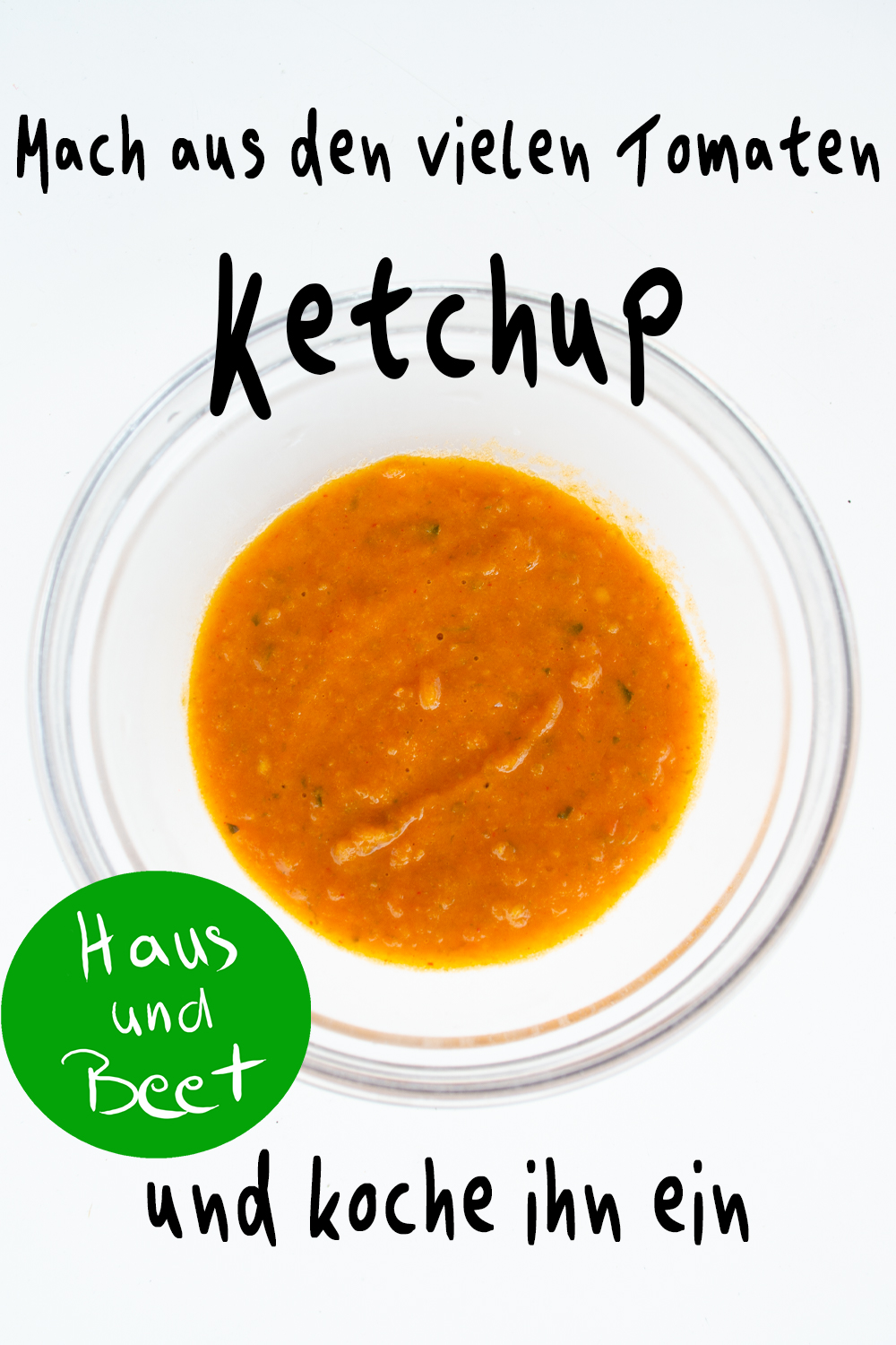 Ketchup selber machen