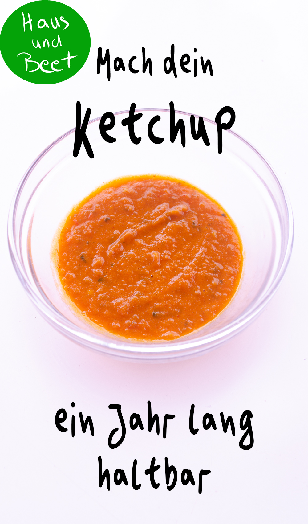 Ketchup selber machen
