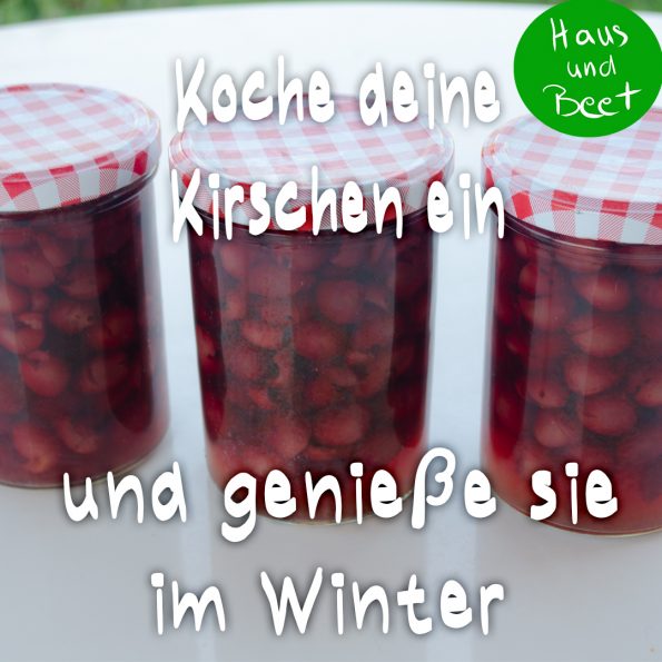Kirschen einkochen