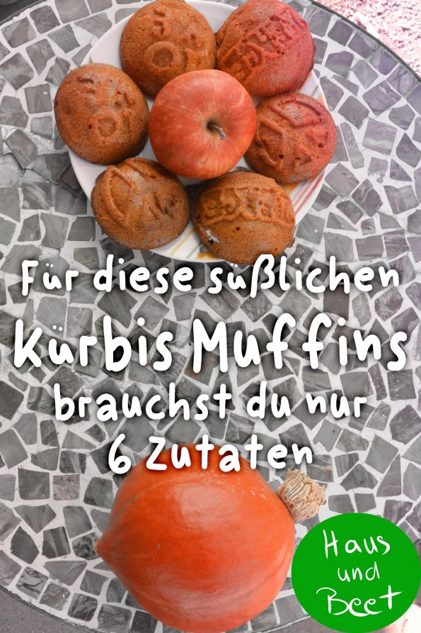 Kürbis Muffins