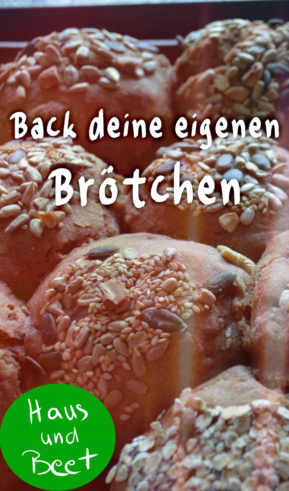 Brötchen backen – Es ist einfach, schnell und lecker! – Haus und Beet Brötchen backen – Es ist einfach, schnell und lecker! – Haus und Beet