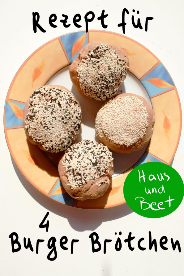 Burger Brötchen