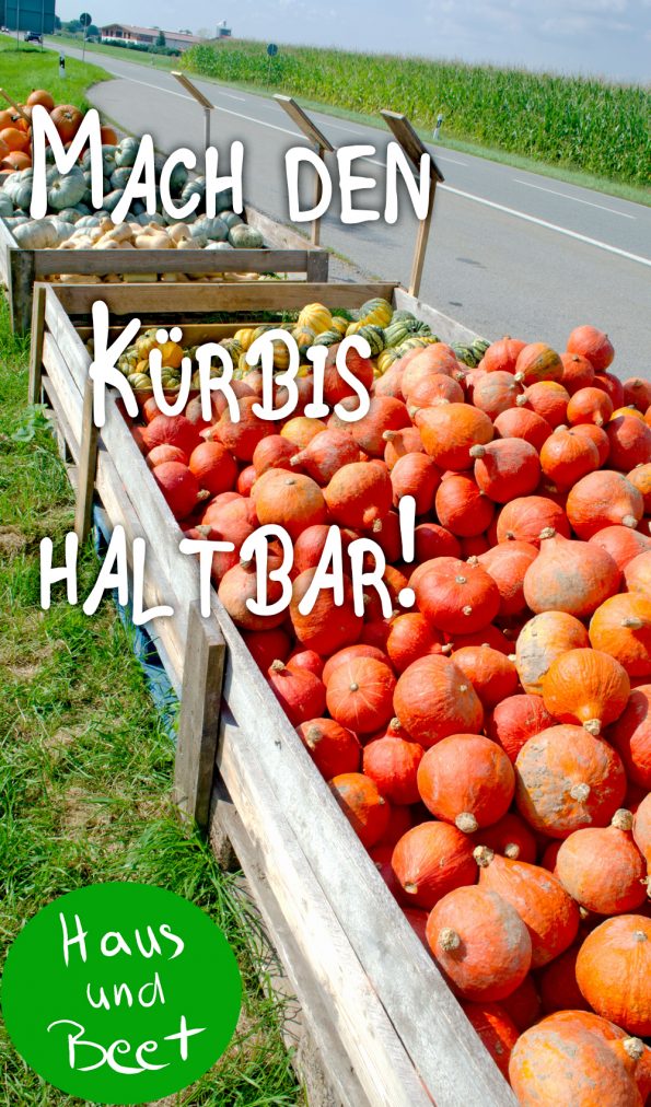 Kürbis einkochen