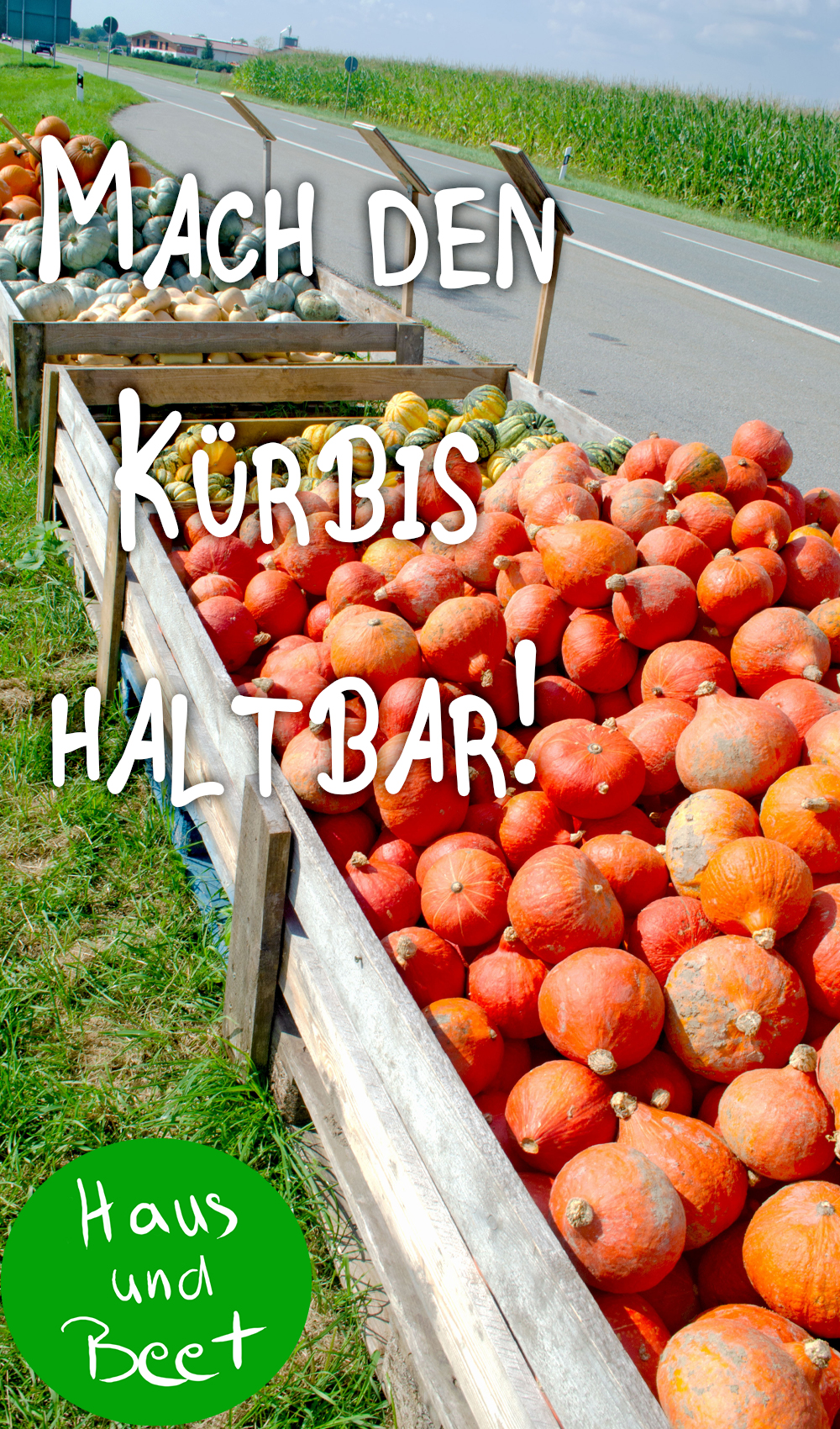 Kürbis einkochen