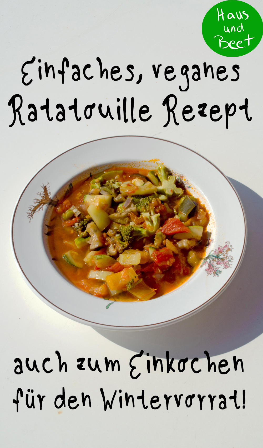 Ratatouille