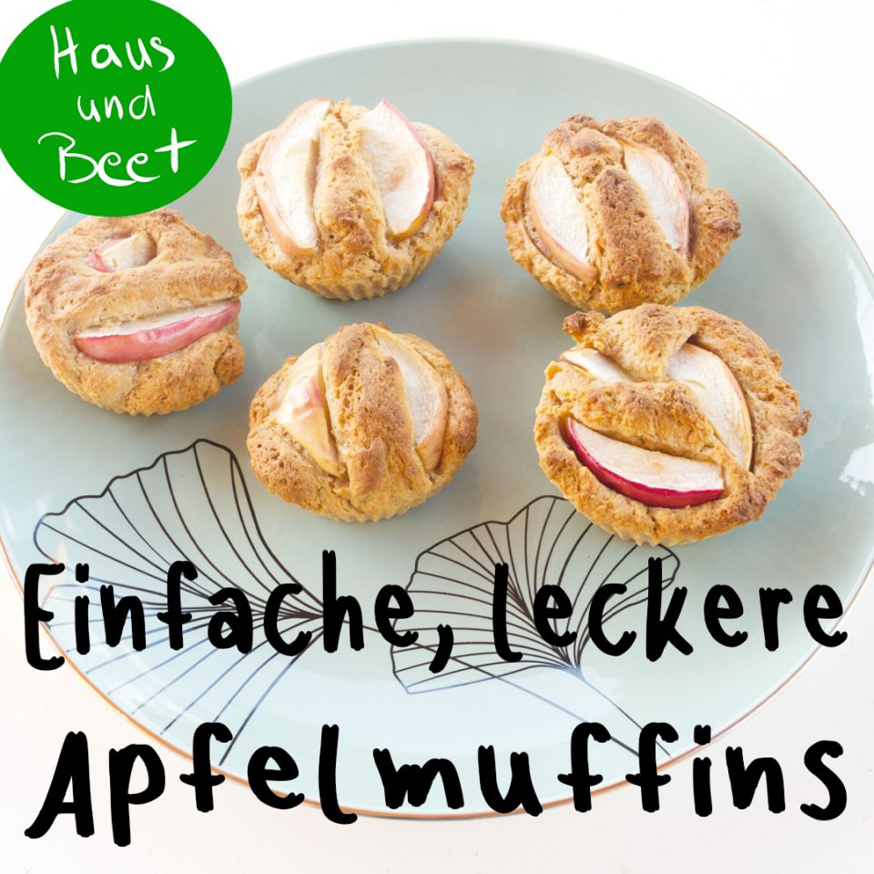 Apfelmuffins