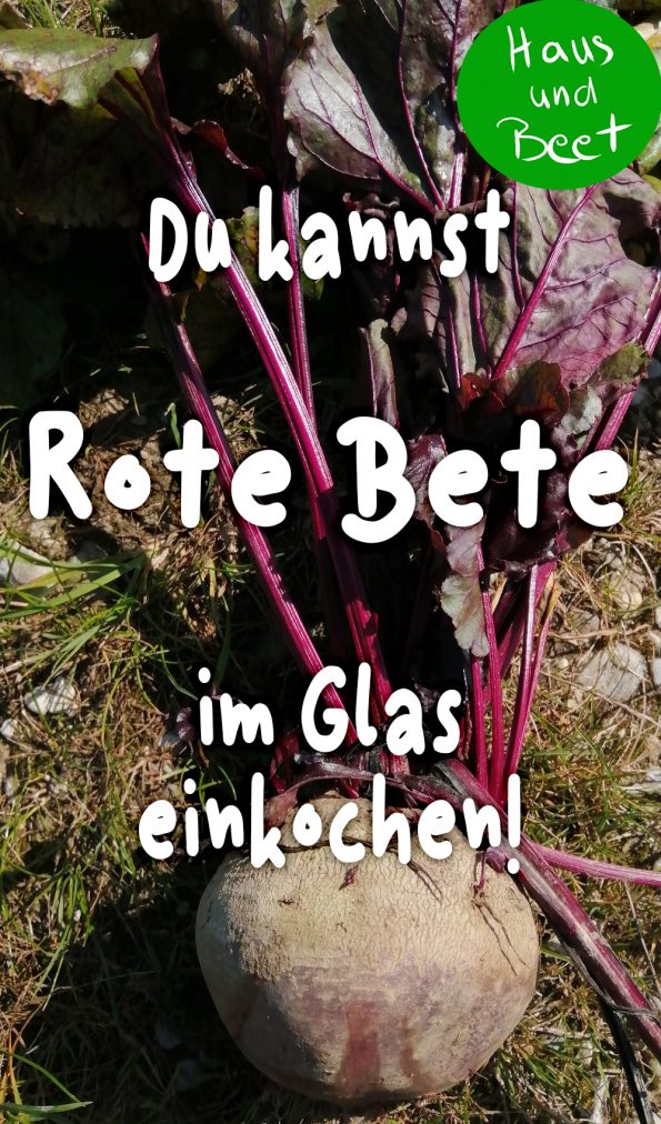 Rote Bete haltbar machen