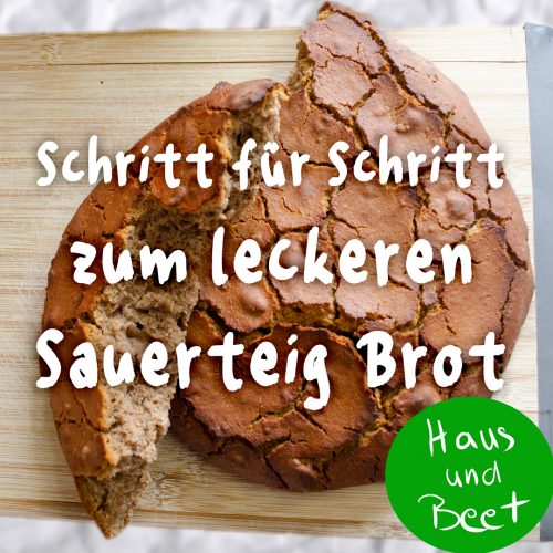 Sauerteig Brot backen für Anfänger