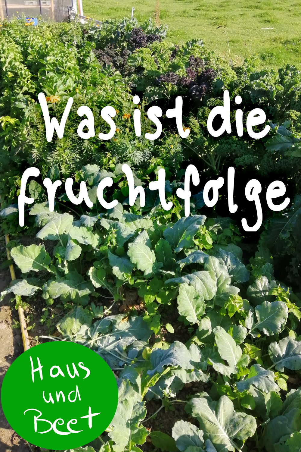 Fruchtfolge Definition