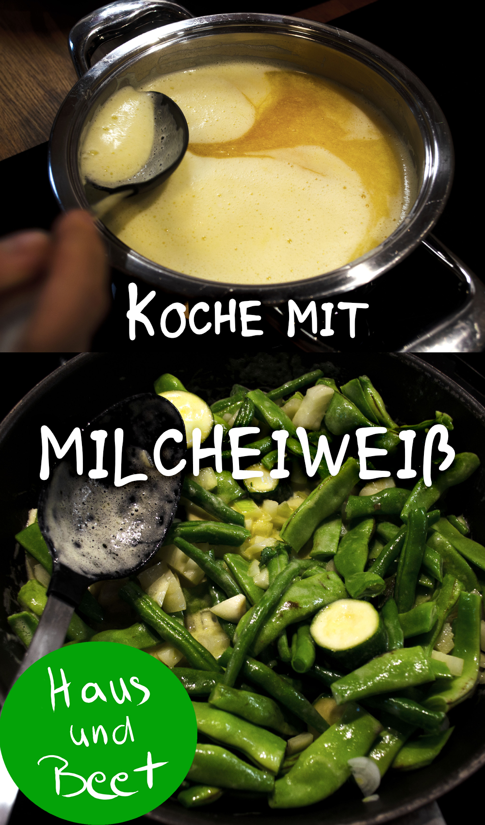 Milcheiweiß aus der Butter
