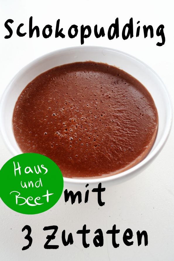 Pudding selber machen