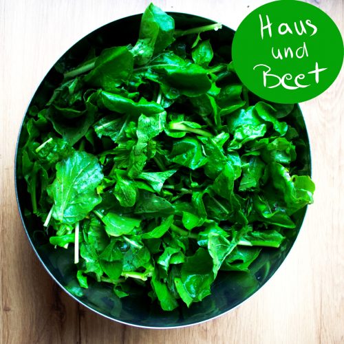 Rucola Salat