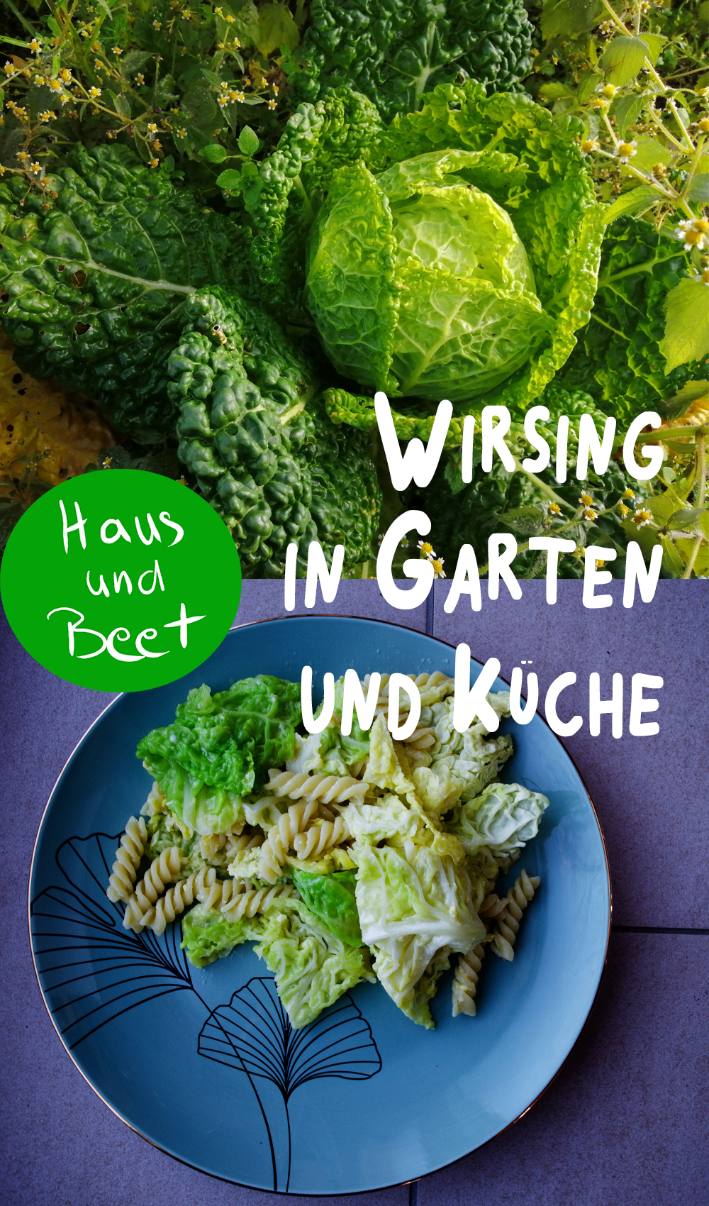 Wirsing in Garten und Küche