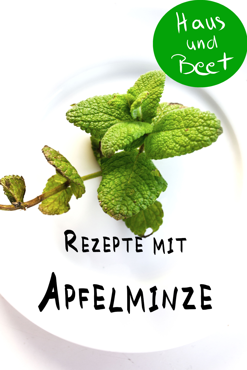 Apfelminze Rezept