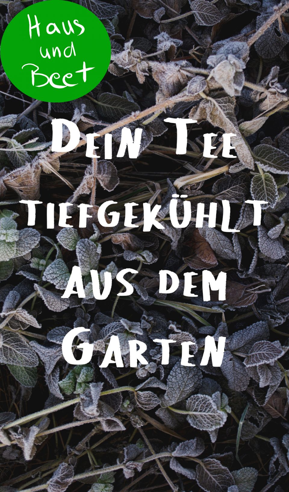 Tee aus dem Garten