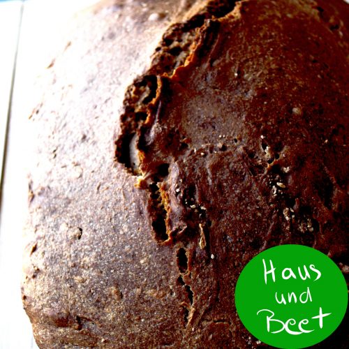 Brot selber backen brotteig