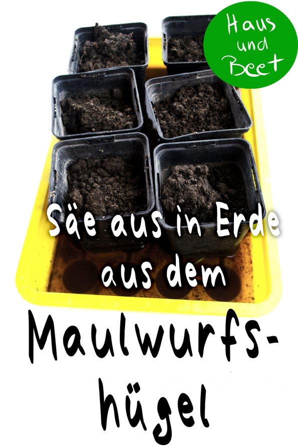 Säen Erde Maulwurfshügel