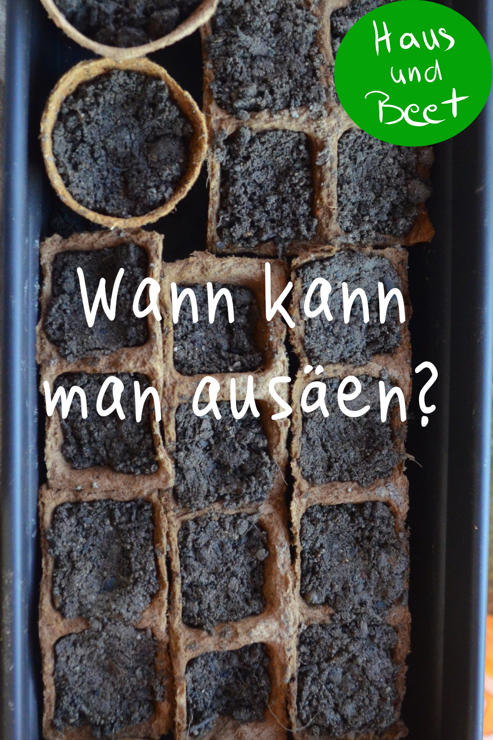 Säen Fensterbank