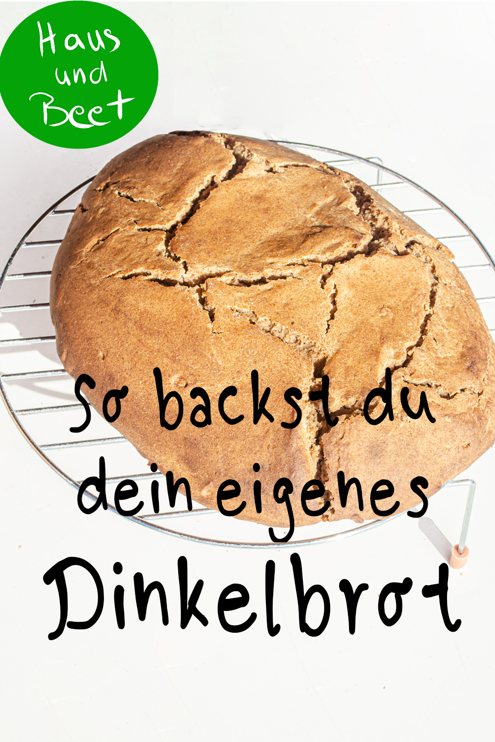 Dinkelbrot Rezept