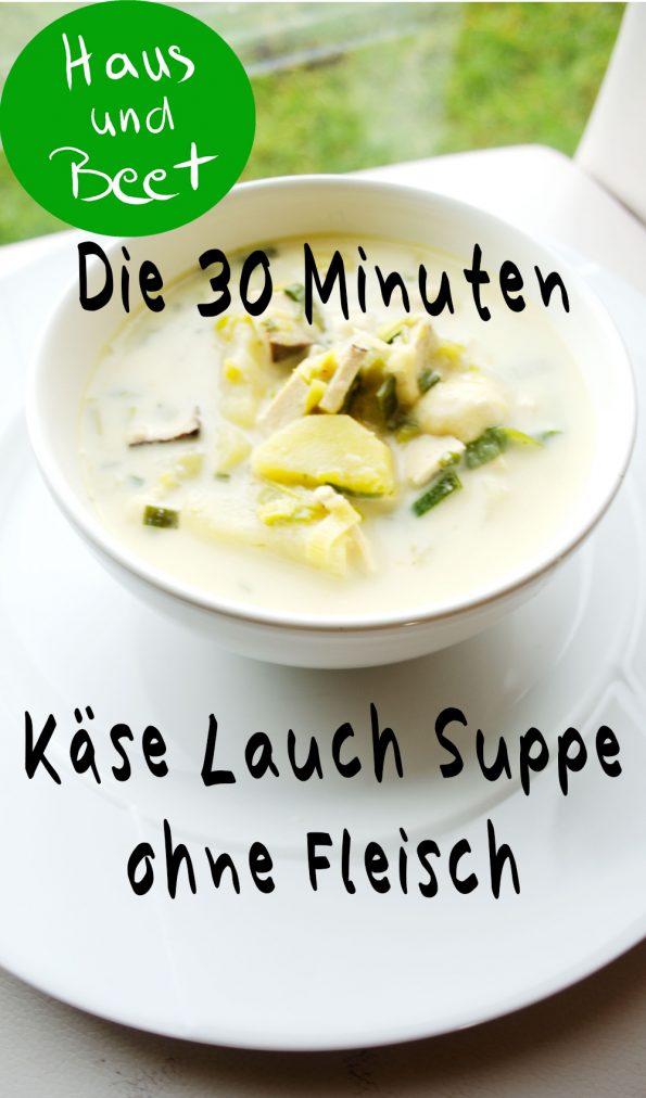 Käse Lauch Suppe ohne Fleisch